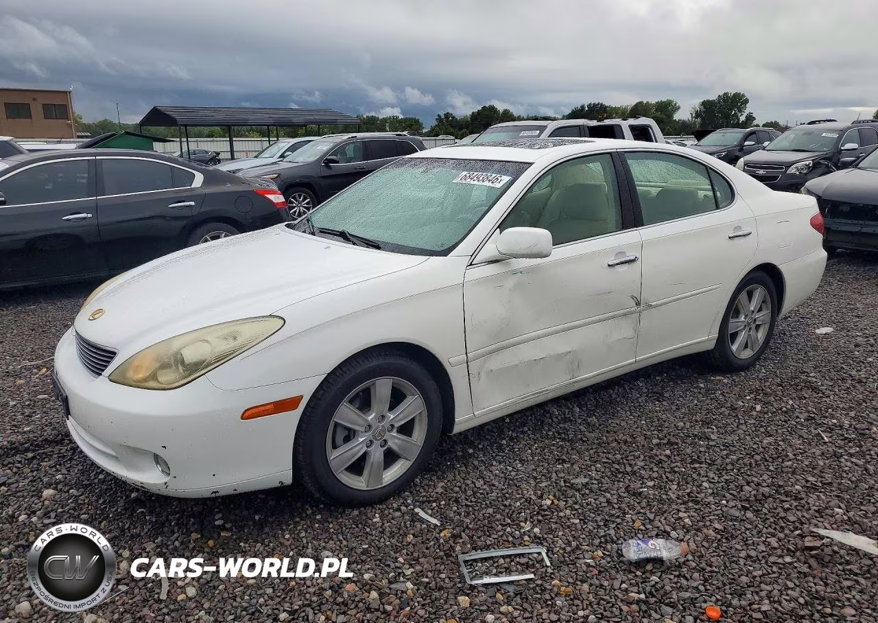 2005 Lexus Es 330 VIN:JTHBA30G155063797 - 1