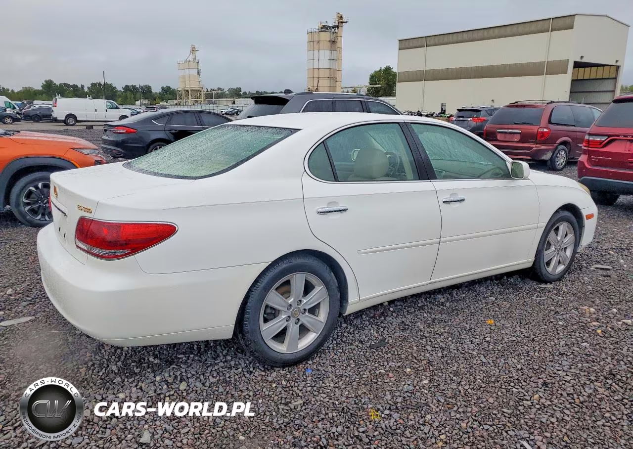 2005 Lexus Es 330 VIN:JTHBA30G155063797 - 3
