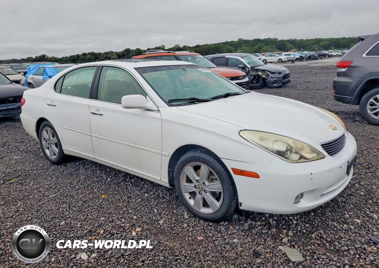 2005 Lexus Es 330 VIN:JTHBA30G155063797 - 4