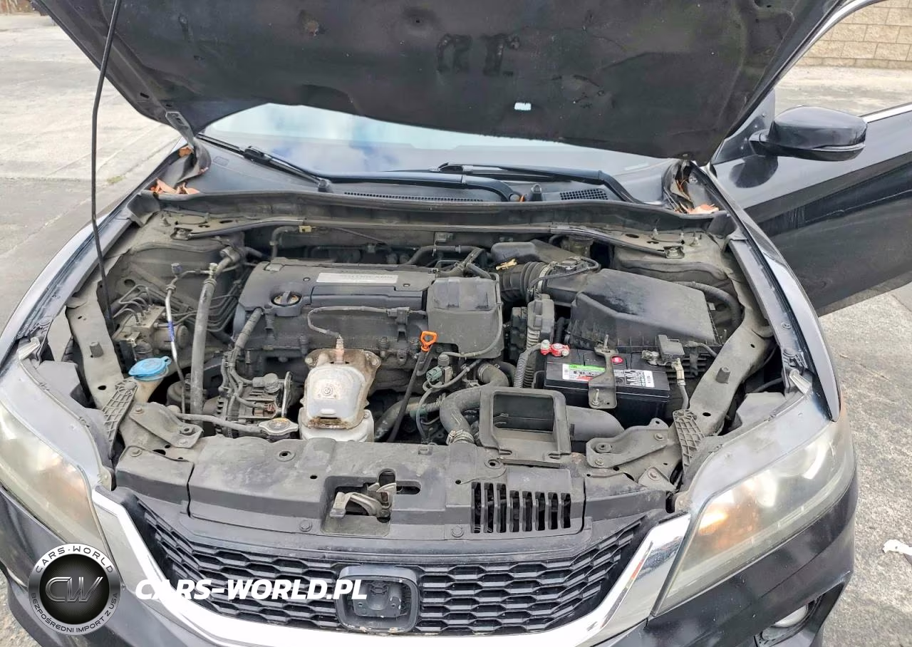 2014 Honda Accord Ex VIN:1HGCT1B74EA002146 - 11