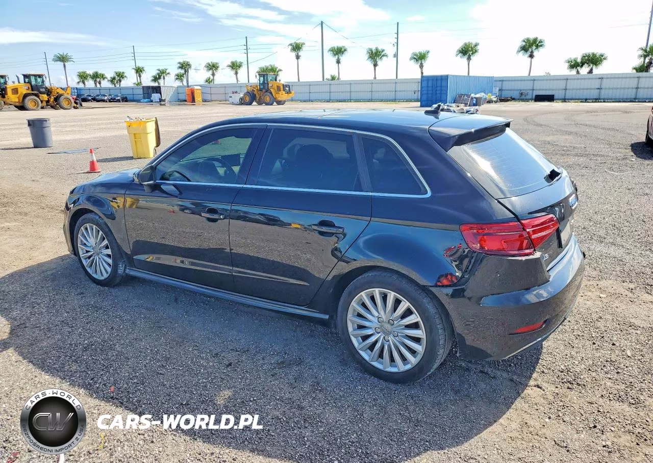 2017 Audi A3 E-Tron Premium Plus VIN:WAUTPBFF2HA035870 - 2