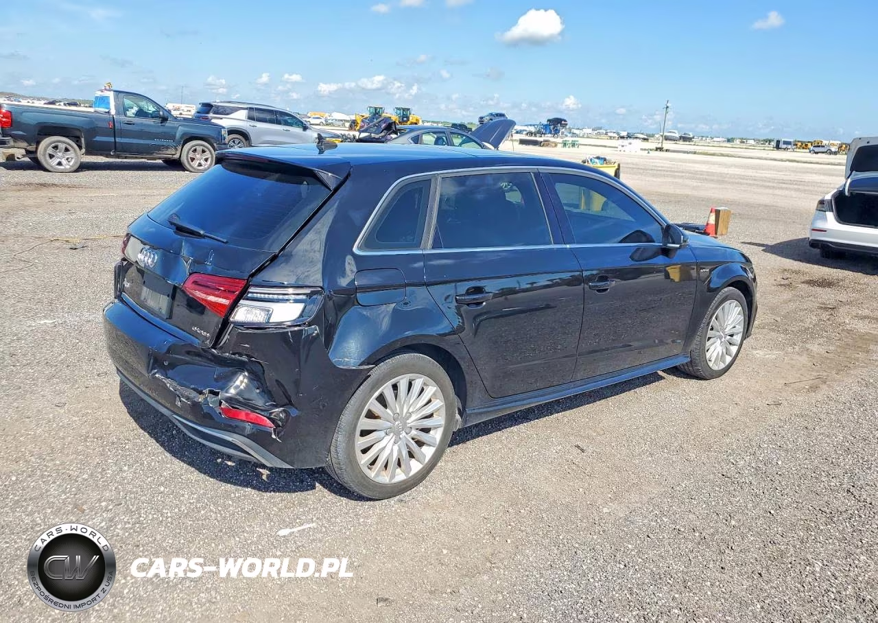 2017 Audi A3 E-Tron Premium Plus VIN:WAUTPBFF2HA035870 - 3