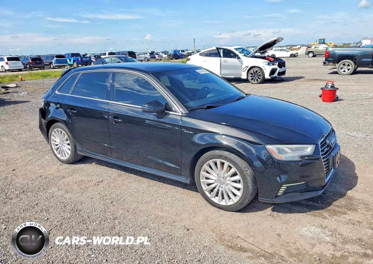 2017 Audi A3 E-Tron Premium Plus VIN:WAUTPBFF2HA035870 - 4