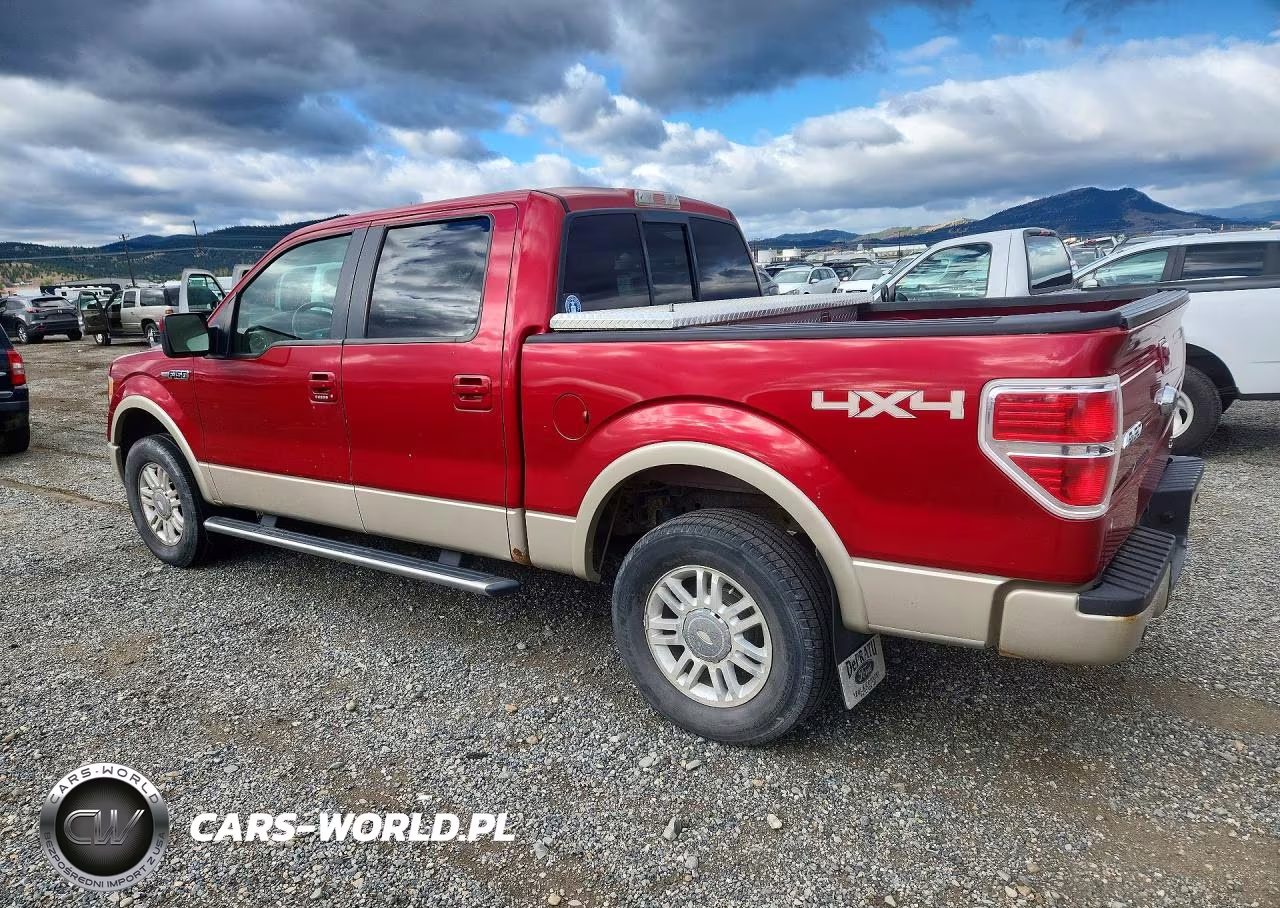 2010 Ford F150 Supercrew VIN:1FTFW1EV3AKE65879 - 2