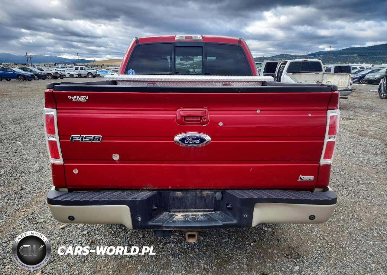 2010 Ford F150 Supercrew VIN:1FTFW1EV3AKE65879 - 6