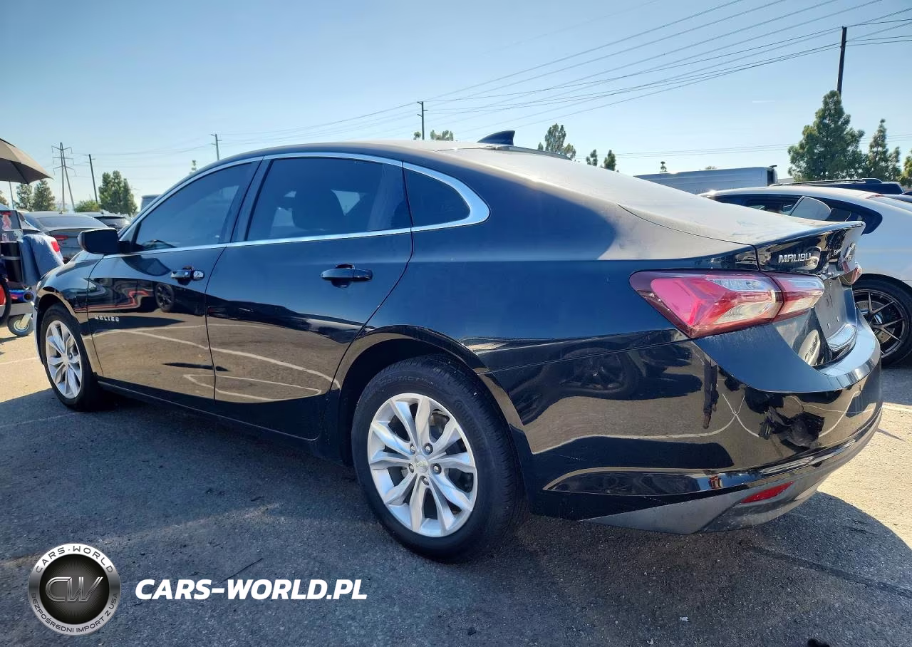 2019 Chevrolet Malibu Lt VIN:1G1ZD5ST9KF122087 - 2