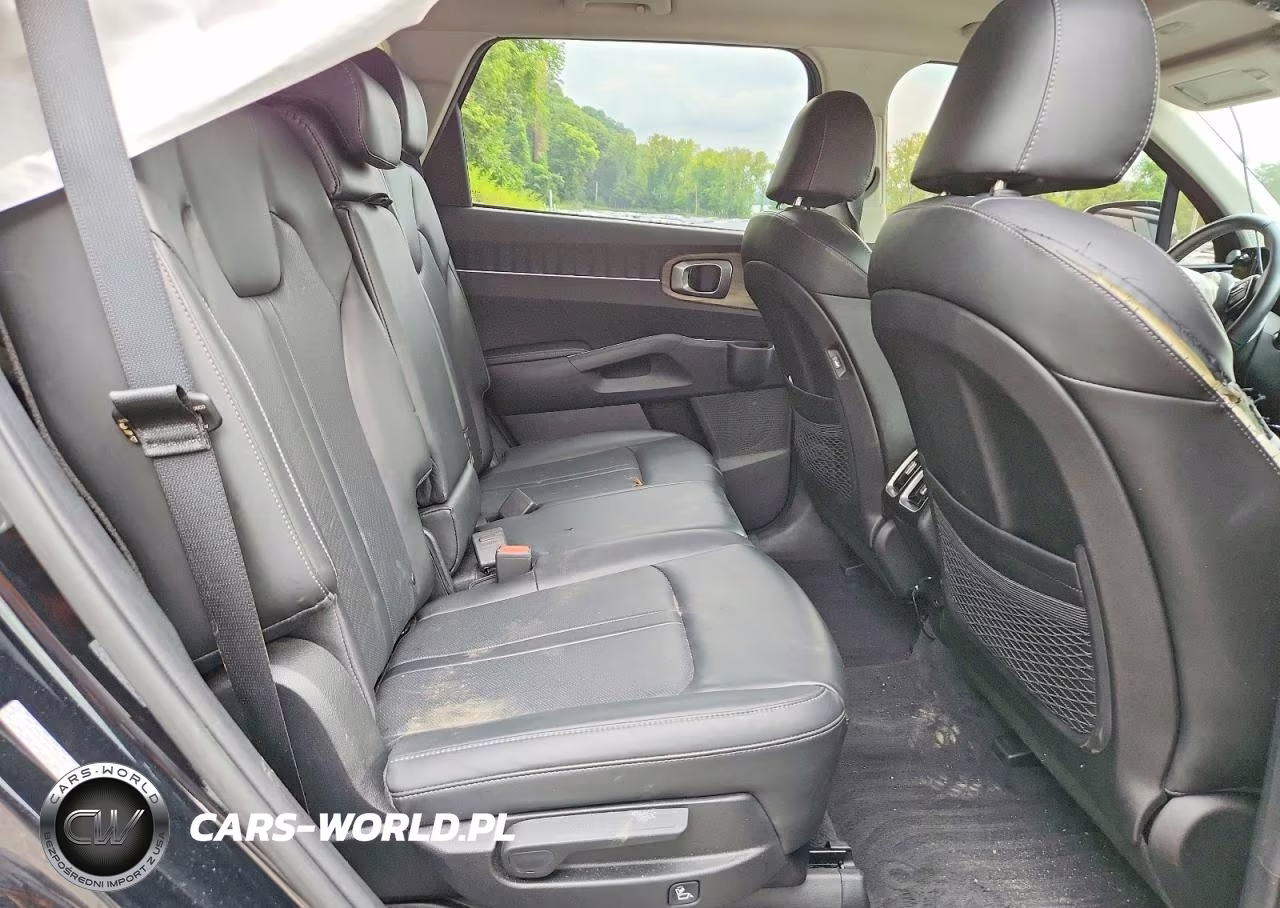 2023 Kia Sorento S VIN:5XYRLDLC4PG225926 - 10