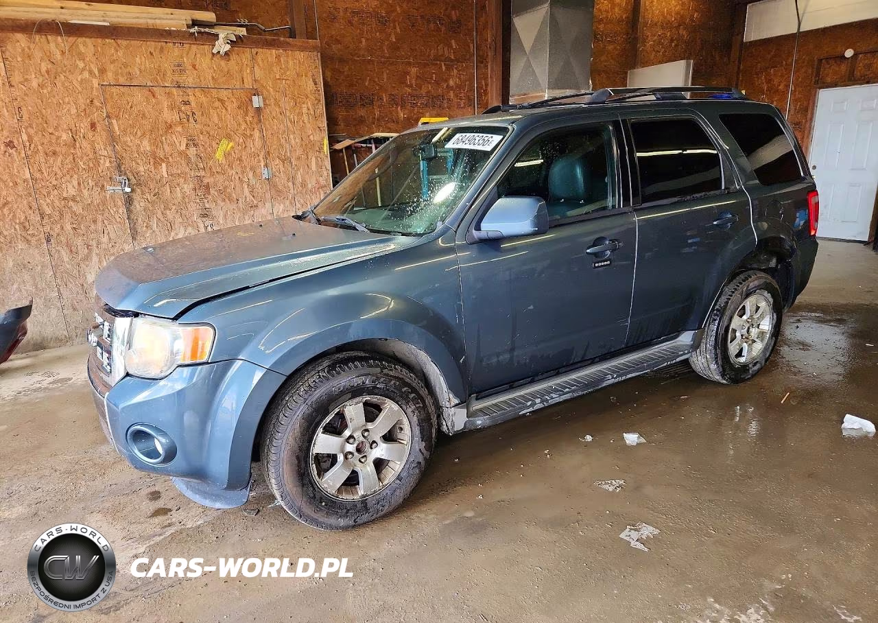 2010 Ford Escape Limited