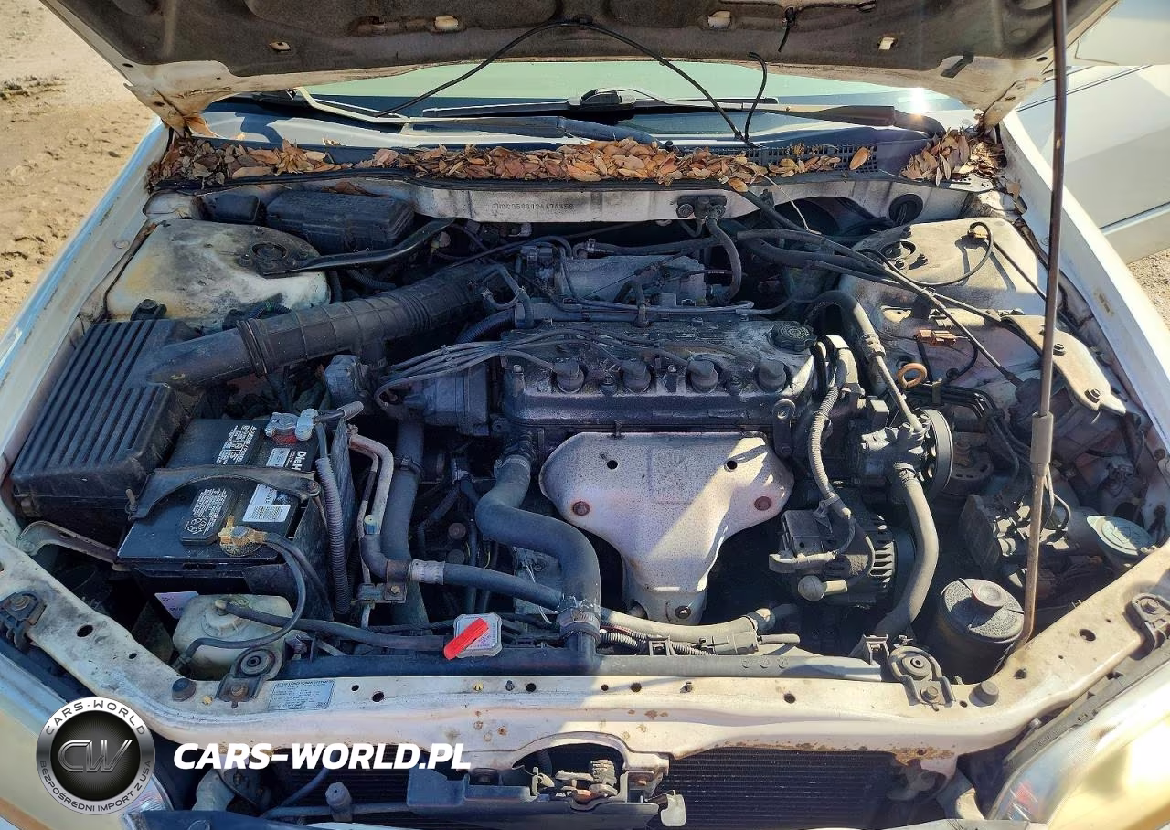 2002 Honda Accord Ex VIN:1HGCG56642A174458 - 11