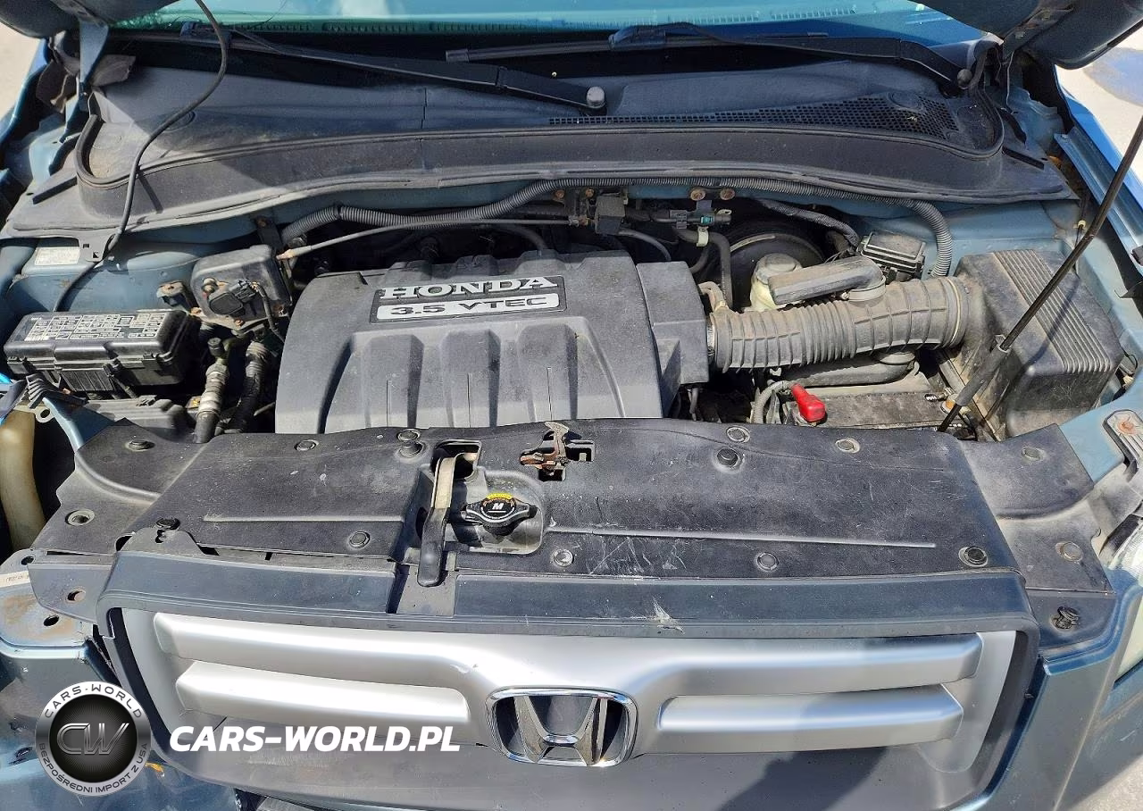2006 Honda Pilot Lx VIN:5FNYF18156B002776 - 12