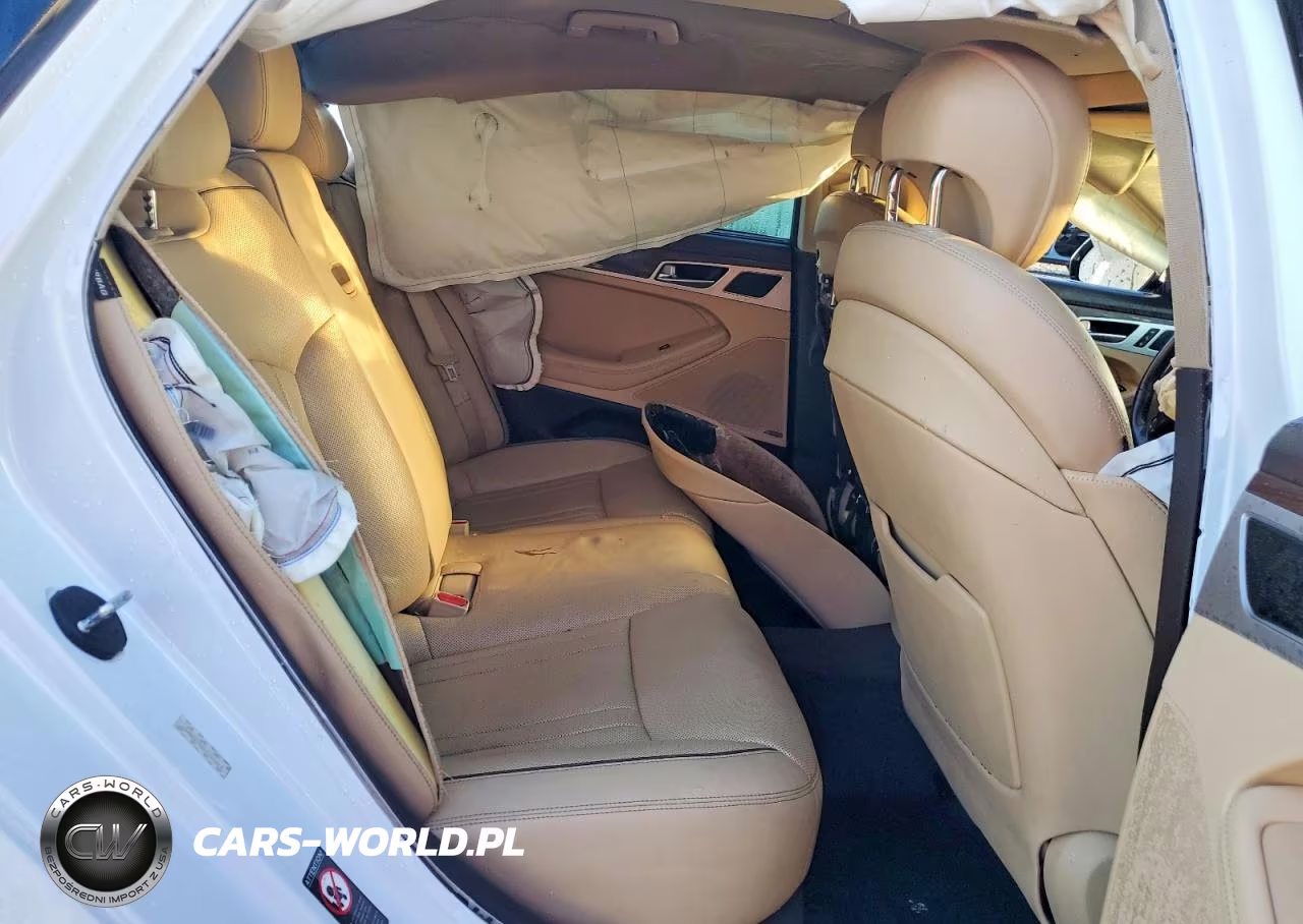 2015 Hyundai Genesis 3.8L VIN:KMHGN4JE3FU053323 - 10