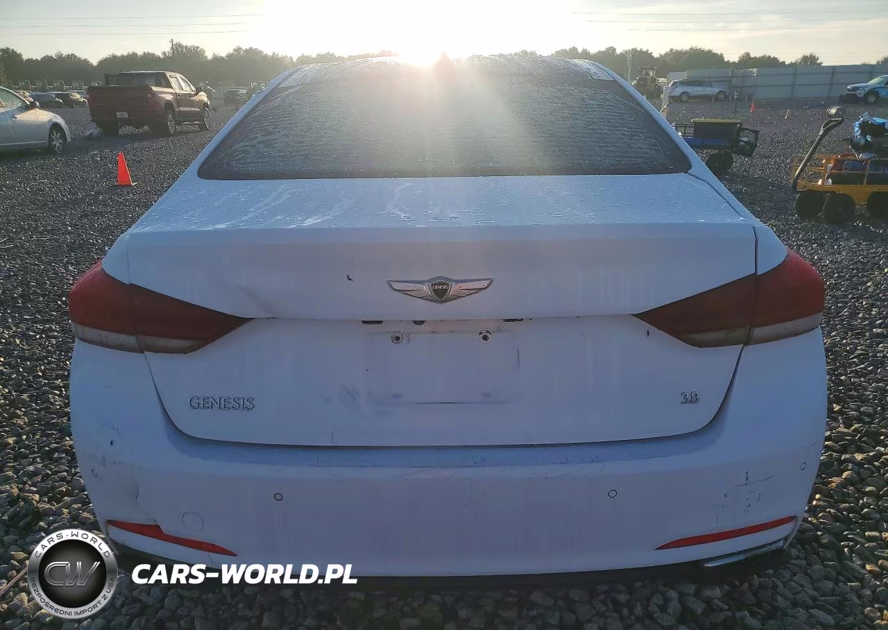 2015 Hyundai Genesis 3.8L VIN:KMHGN4JE3FU053323 - 6