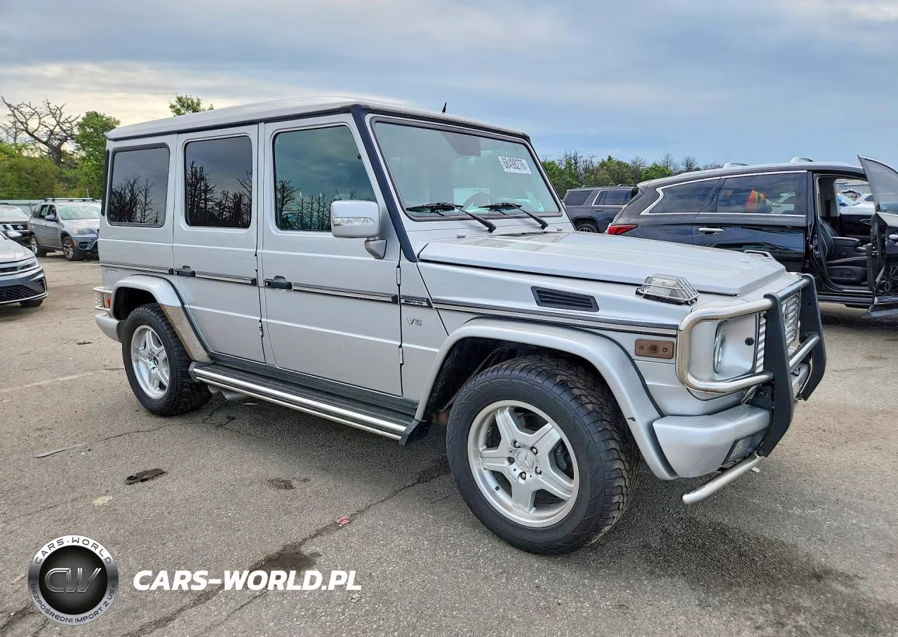2004 Mercedes-Benz G 55 Amg VIN:WDCYR46E24X147463 - 4