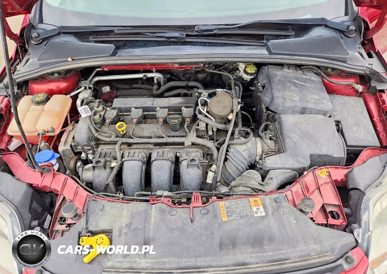 2014 Ford Focus Se VIN:1FADP3K27EL361945 - 11