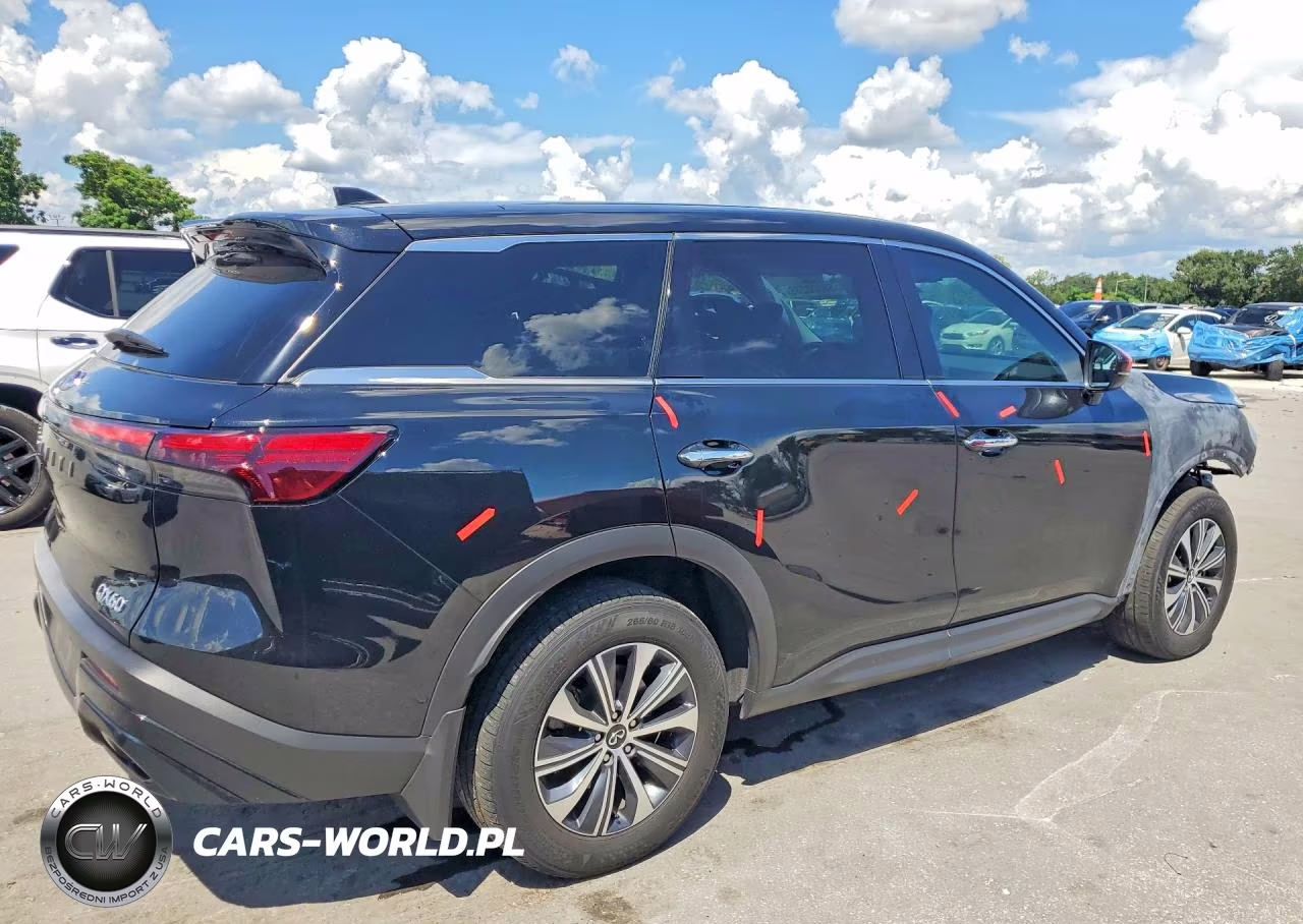 2025 Infiniti Qx60 Pure VIN:5N1AL1ER0SC335491 - 3