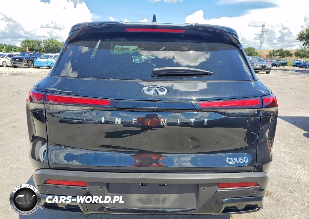 2025 Infiniti Qx60 Pure VIN:5N1AL1ER0SC335491 - 6