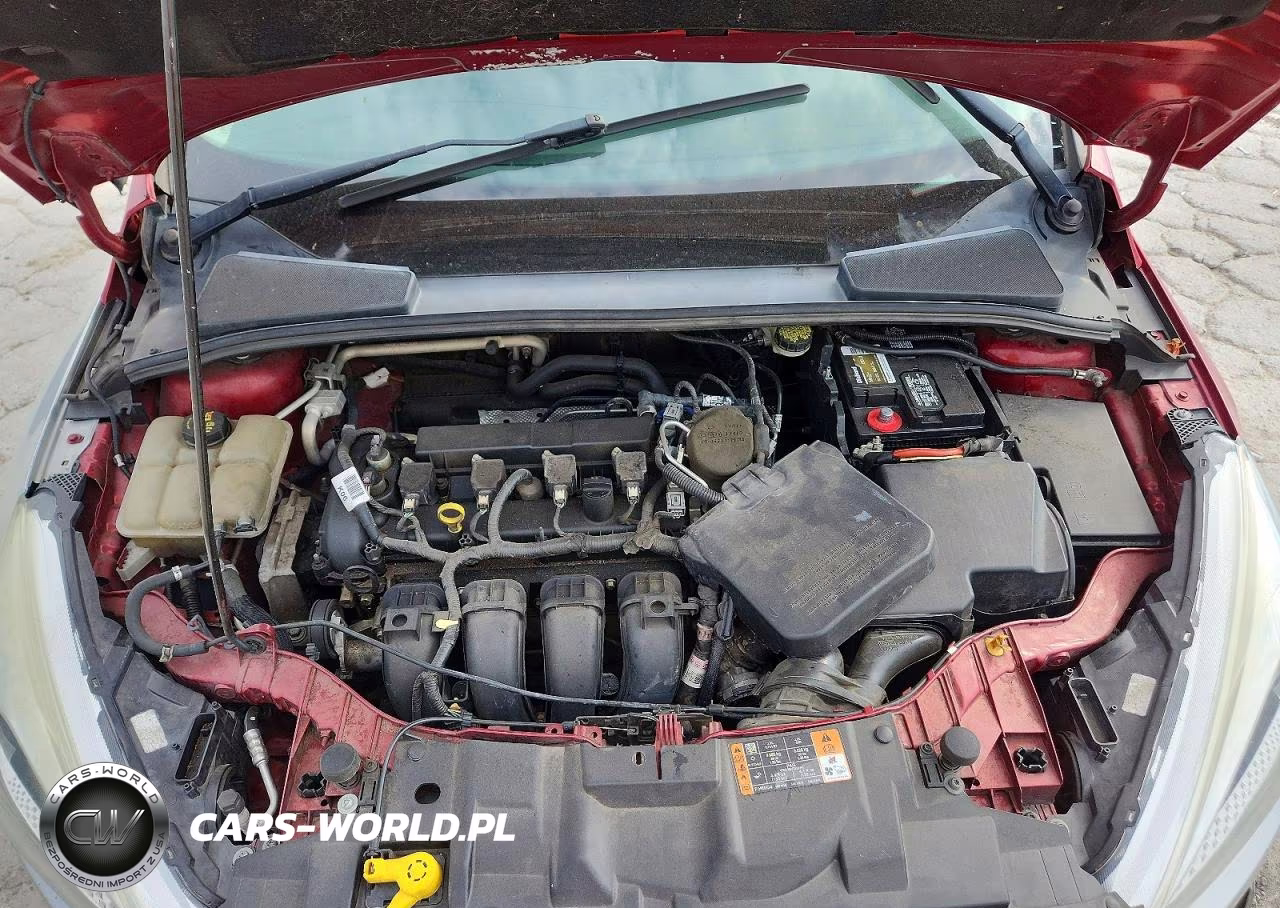 2016 Ford Focus Se VIN:1FADP3F22GL249499 - 11