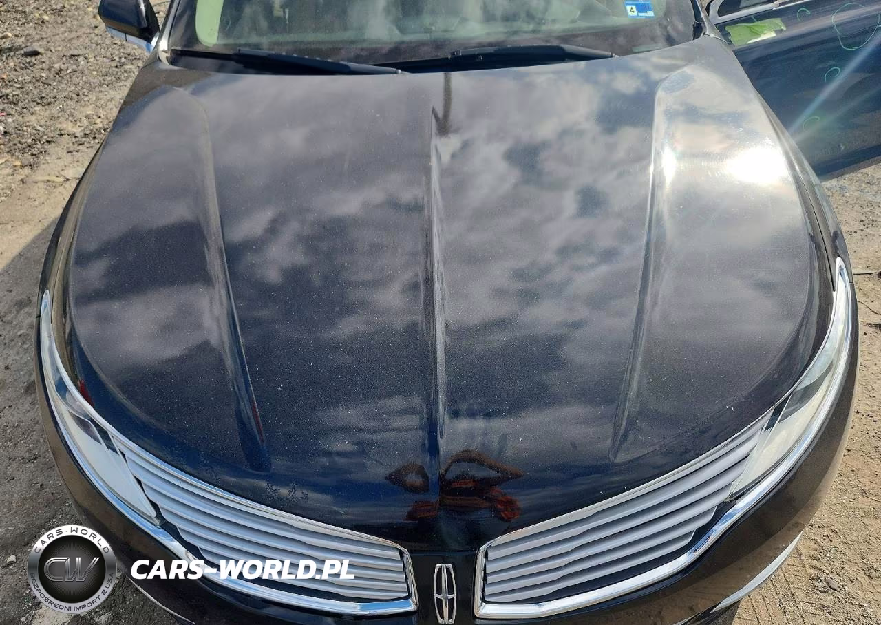 2013 Lincoln Mkz VIN:3LN6L2G90DR825801 - 11