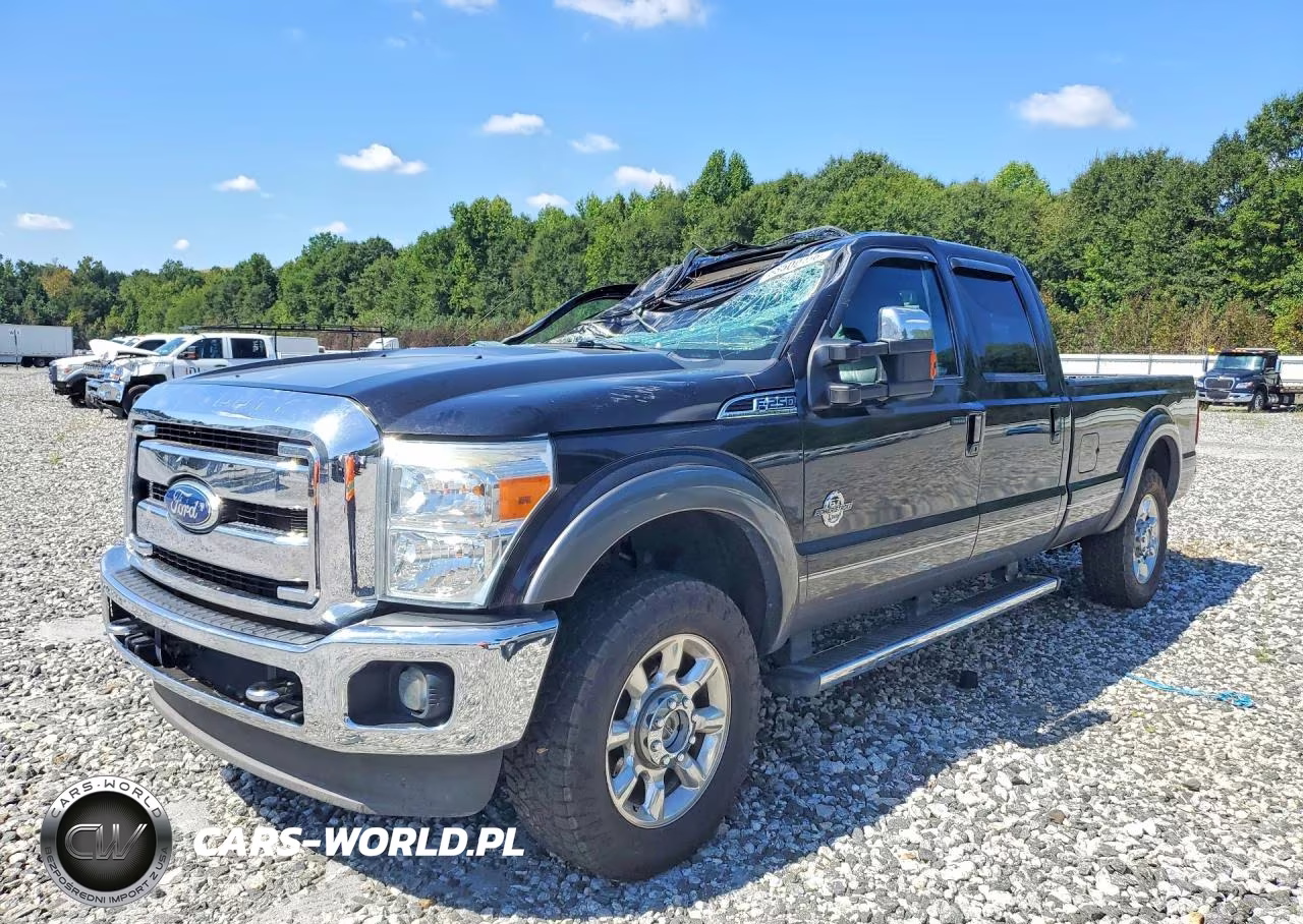 2011 Ford F250 Super Duty VIN:1FT7W2BT6BEA21893 - 1