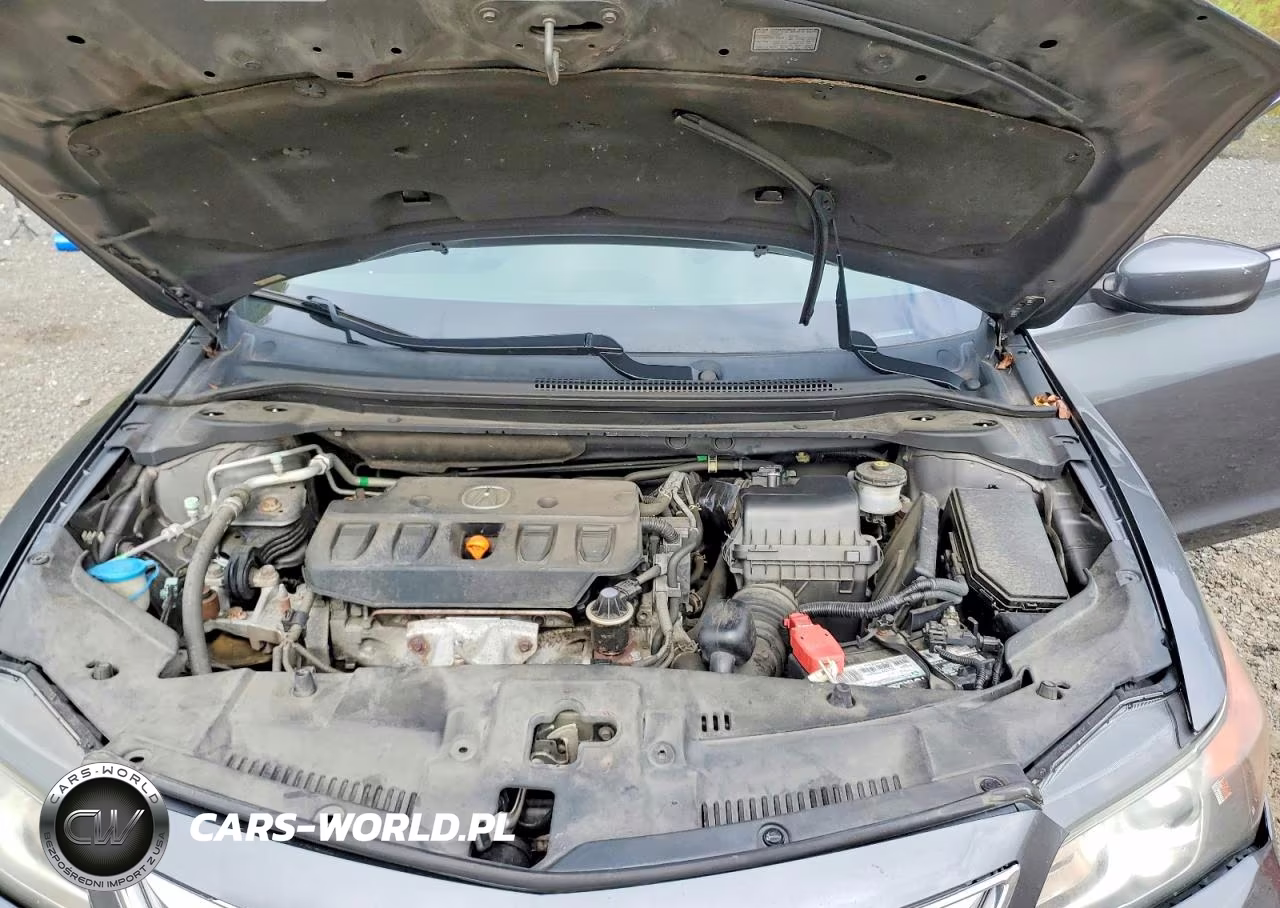 2014 Acura Ilx 20 Premium VIN:19VDE1F53EE005423 - 11