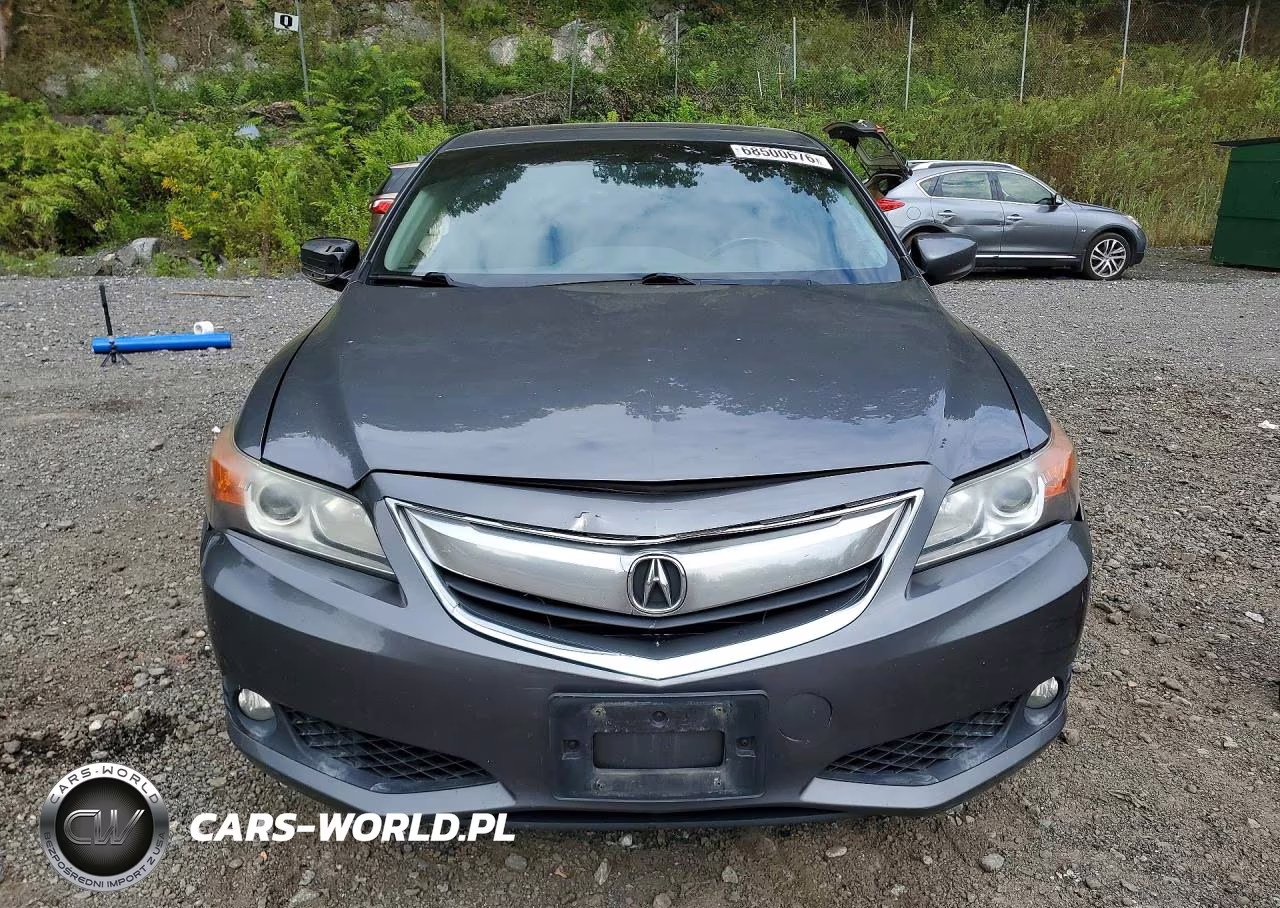 2014 Acura Ilx 20 Premium VIN:19VDE1F53EE005423 - 5