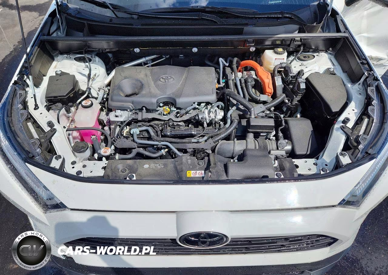 2025 Toyota Rav4 Hybrid Xle VIN:JTMRWRFV5SD330502 - 12