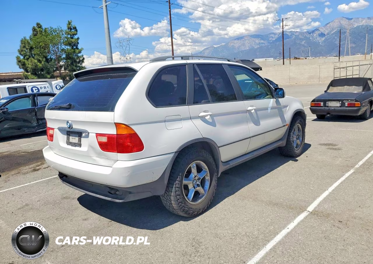 2002 BMW X5 3.0I VIN:5UXFA53532LP41478 - 3
