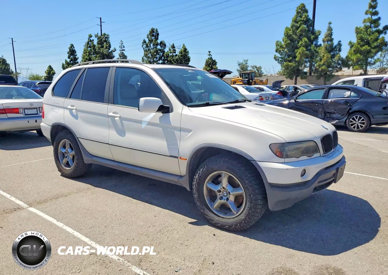 2002 BMW X5 3.0I VIN:5UXFA53532LP41478 - 4
