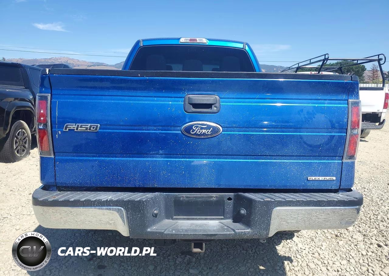 2012 Ford F150 Supercrew VIN:1FTFW1EF4CFA48890 - 6