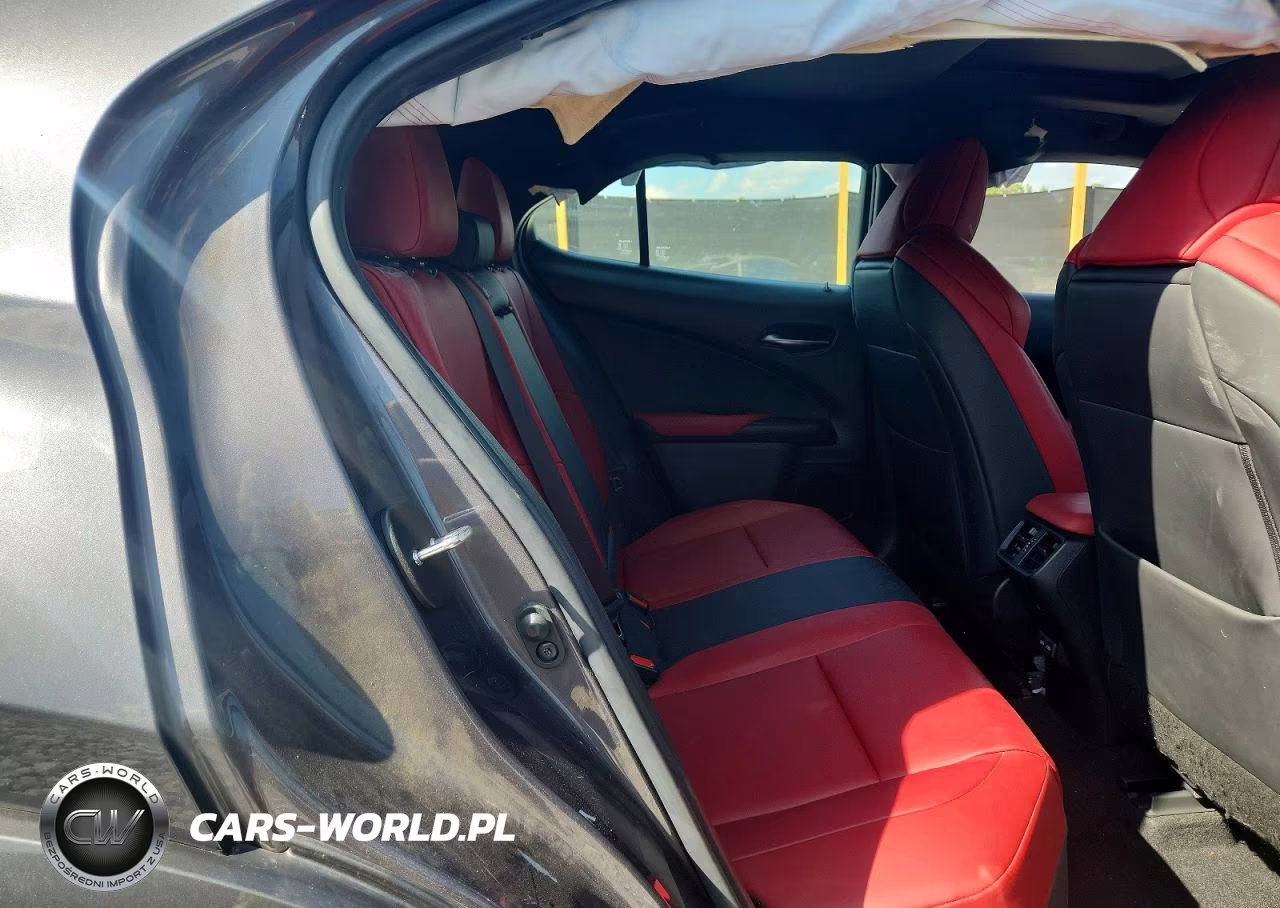 2022 Lexus Ux 200 F Sport VIN:JTHE3JBH6N2049560 - 10