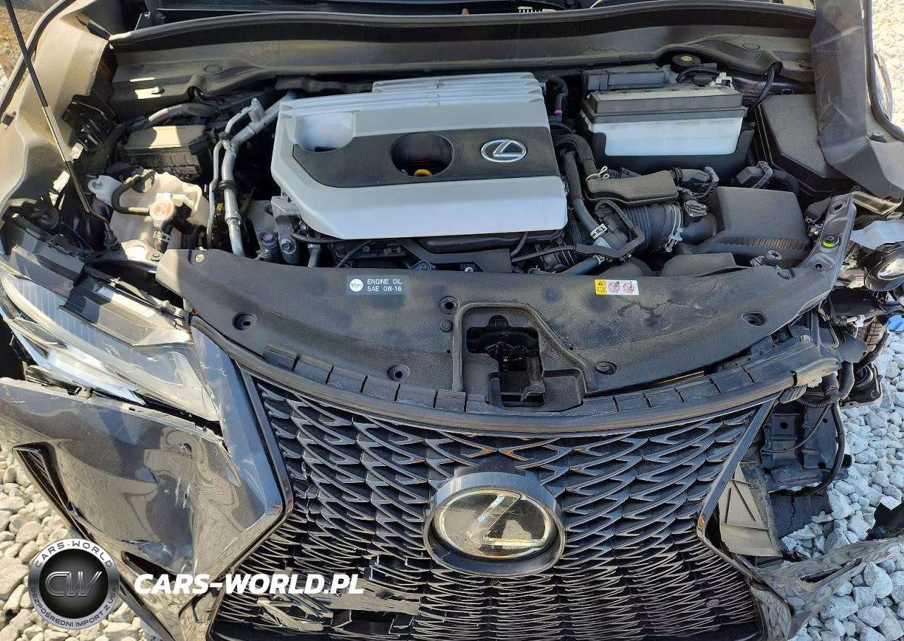 2022 Lexus Ux 200 F Sport VIN:JTHE3JBH6N2049560 - 11