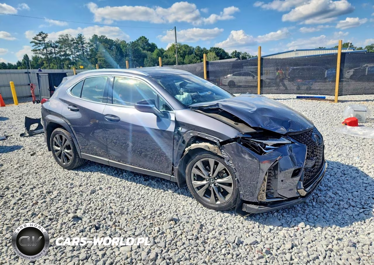 2022 Lexus Ux 200 F Sport VIN:JTHE3JBH6N2049560 - 4
