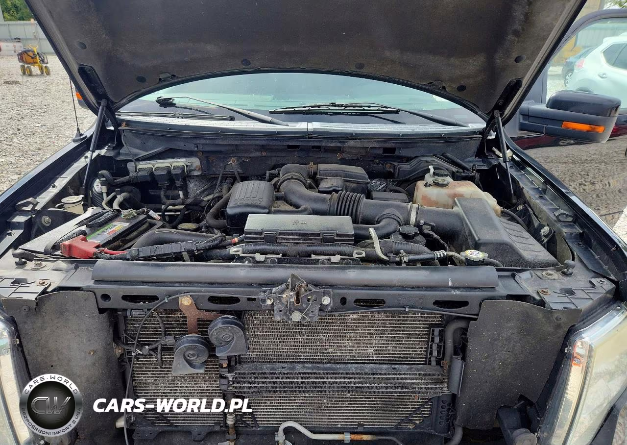 2010 Ford F150 Supercrew VIN:1FTFW1EV6AFA47681 - 11