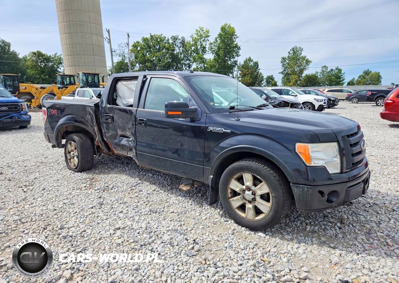 2010 Ford F150 Supercrew VIN:1FTFW1EV6AFA47681 - 4