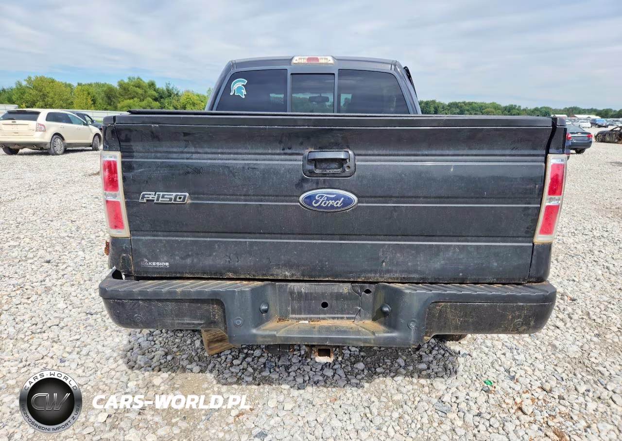 2010 Ford F150 Supercrew VIN:1FTFW1EV6AFA47681 - 6