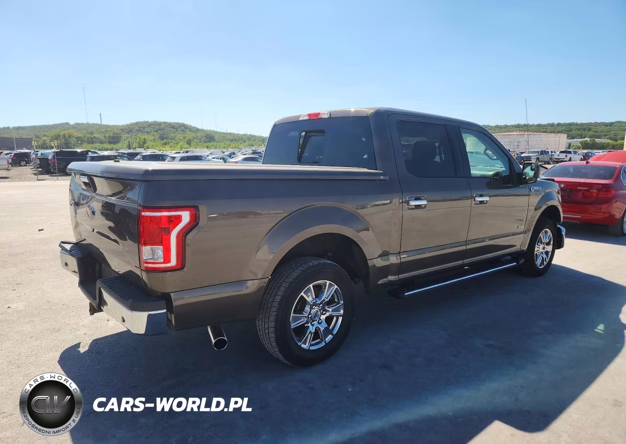 2015 Ford F150 Supercrew VIN:1FTEW1CG7FFC46696 - 3