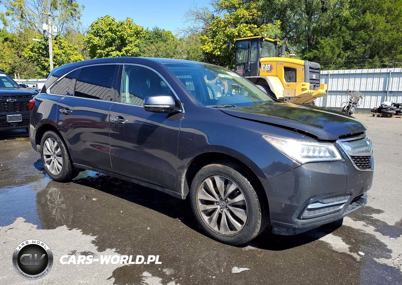 ACURA MDX TECHNO VIN:5FRYD4H48GB032355 - 4