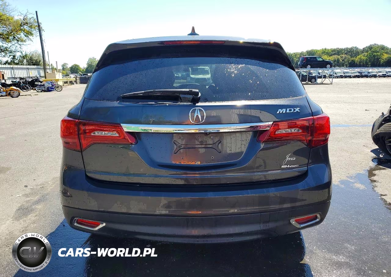 ACURA MDX TECHNO VIN:5FRYD4H48GB032355 - 6