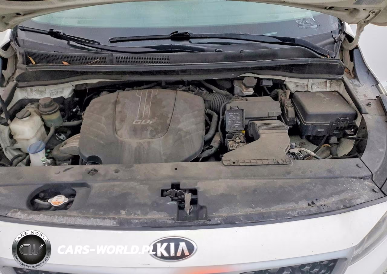 2017 Kia Sedona Lx VIN:KNDMB5C17H6239499 - 12