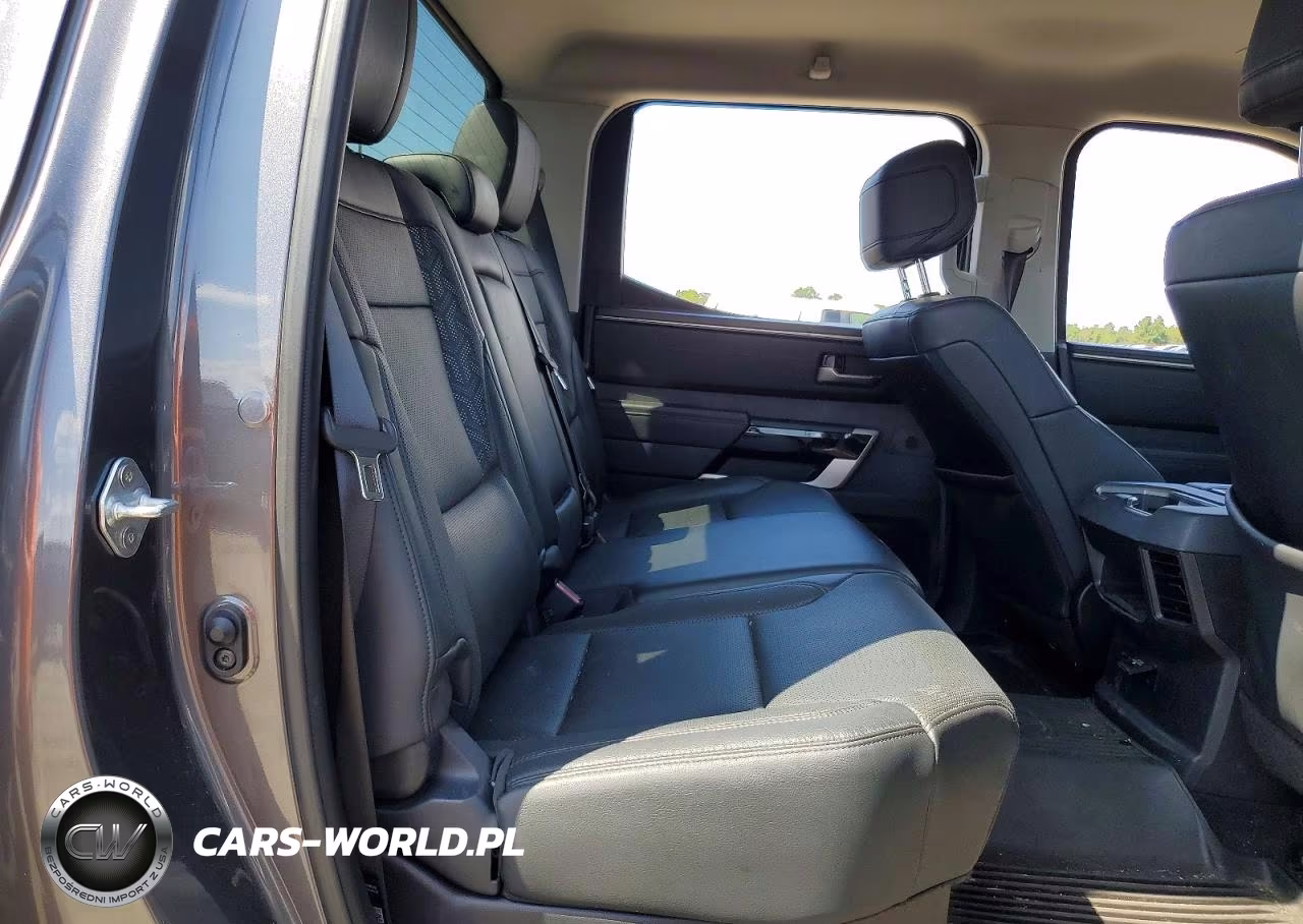 2023 Toyota Tundra Crewmax Limited VIN:5TFJC5AB2PX002293 - 10