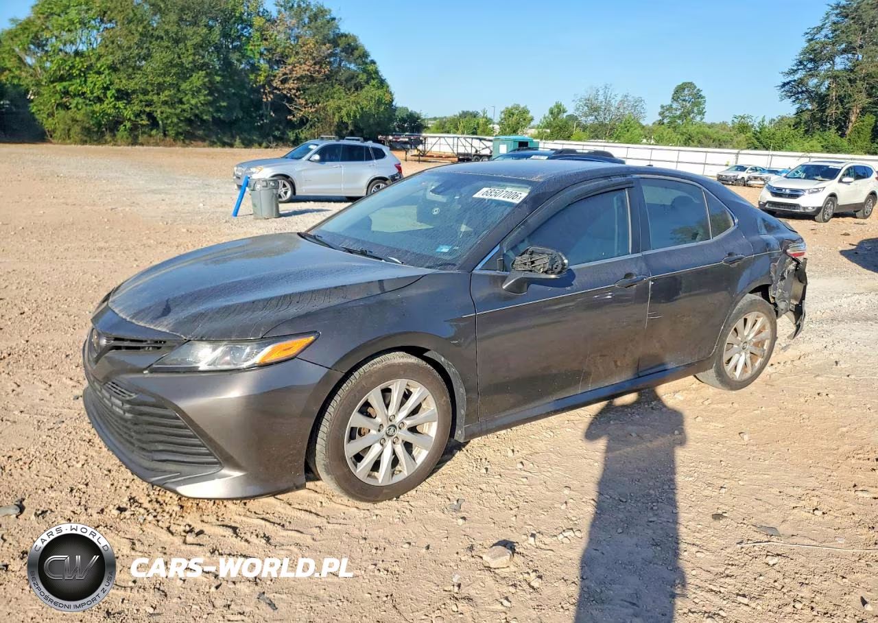 2019 Toyota Camry Le VIN:4T1B11HK2KU247187 - 1