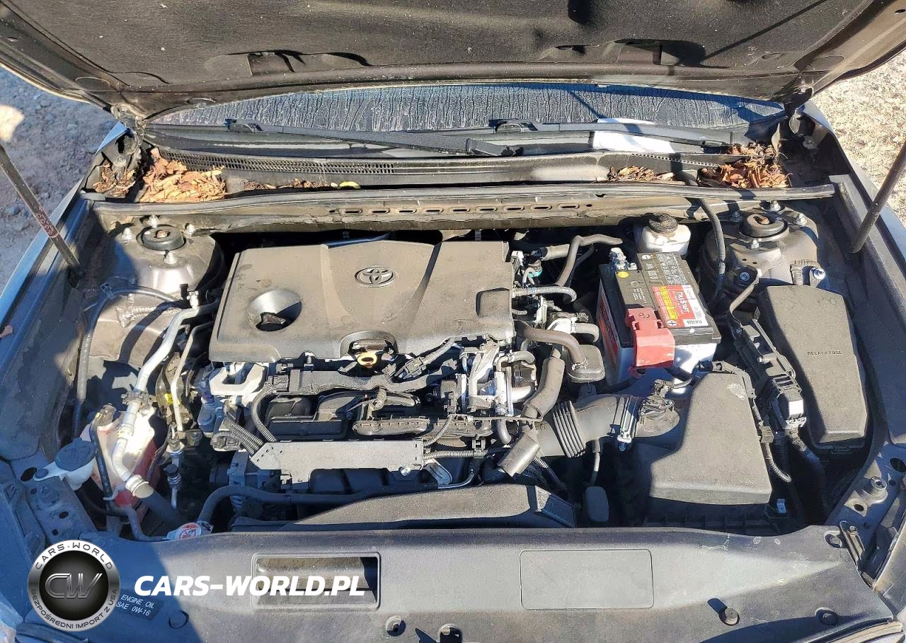 2019 Toyota Camry Le VIN:4T1B11HK2KU247187 - 11