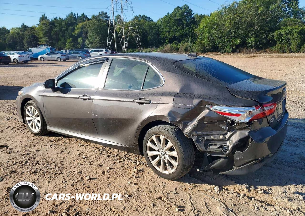 2019 Toyota Camry Le VIN:4T1B11HK2KU247187 - 2