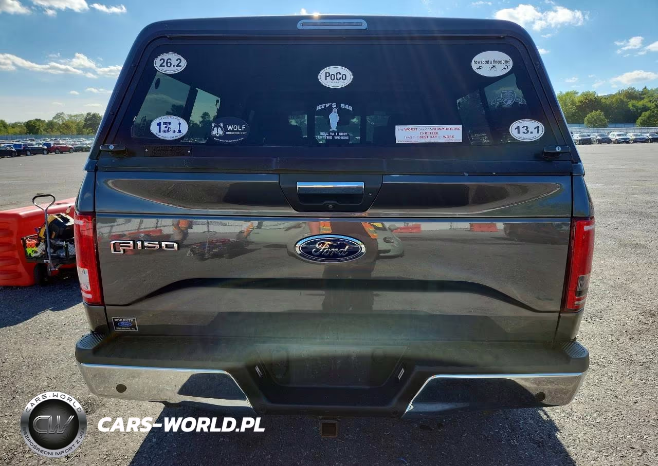 2016 Ford F150 Supercrew VIN:1FTEW1EP3GFA66680 - 6