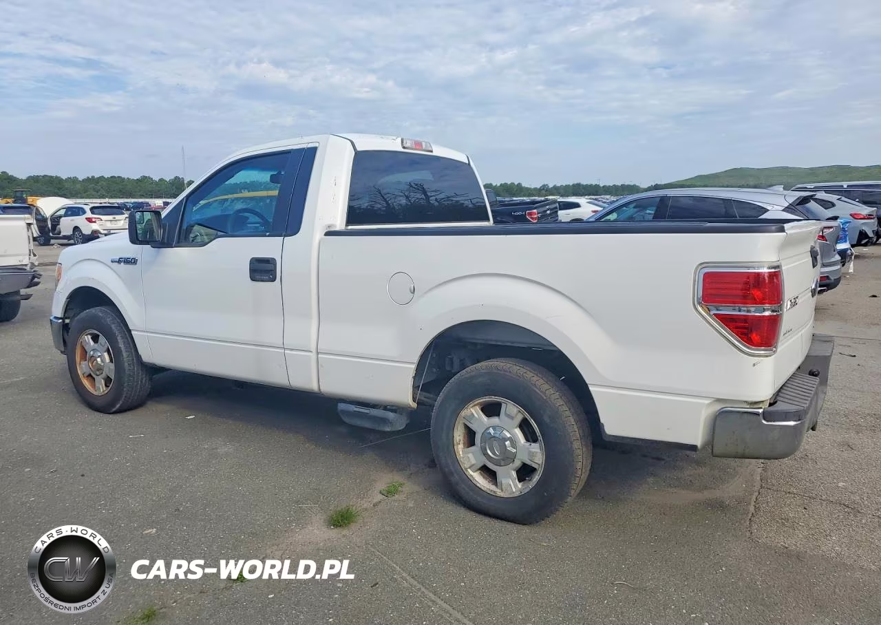 2013 Ford F-150 VIN:1FTMF1CF3DFB33411 - 2
