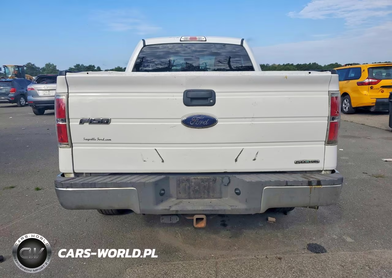 2013 Ford F-150 VIN:1FTMF1CF3DFB33411 - 6