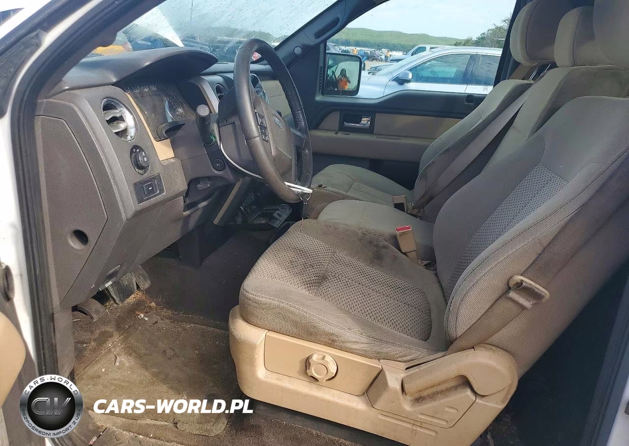 2013 Ford F-150 VIN:1FTMF1CF3DFB33411 - 7