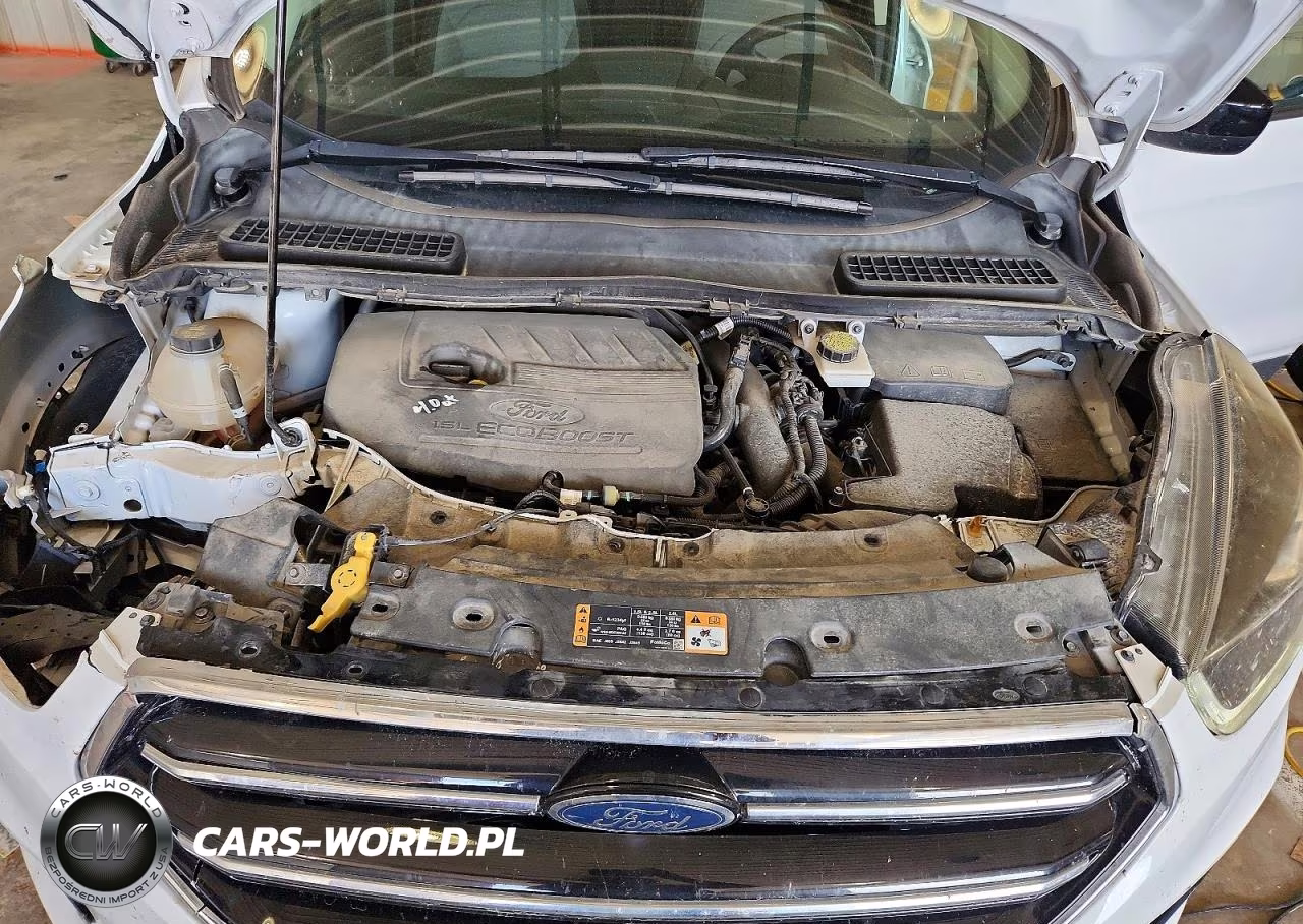 2018 Ford Escape Se VIN:1FMCU0GD9JUA52274 - 12