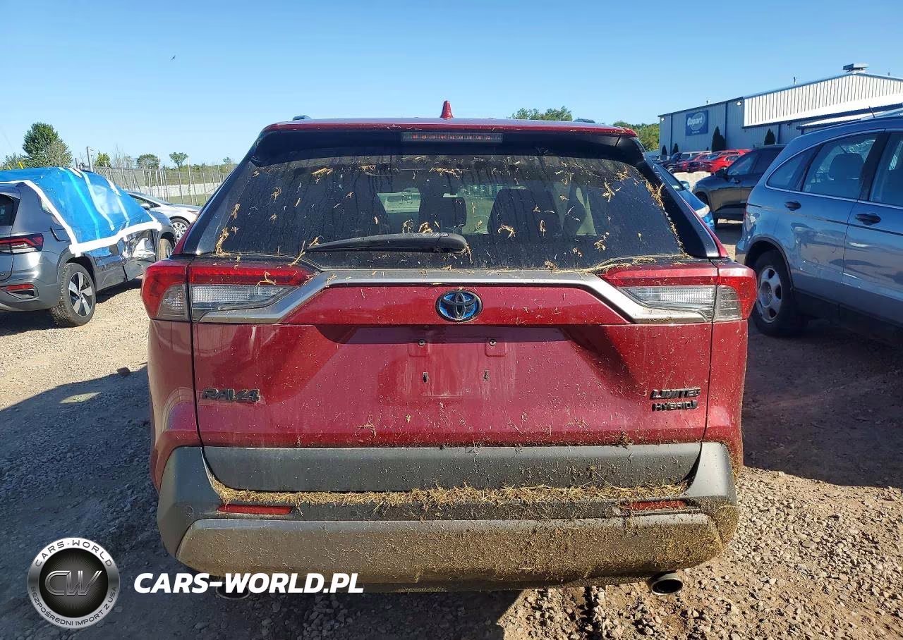 2019 Toyota Rav4 Limited VIN:2T3DWRFVXKW022920 - 6