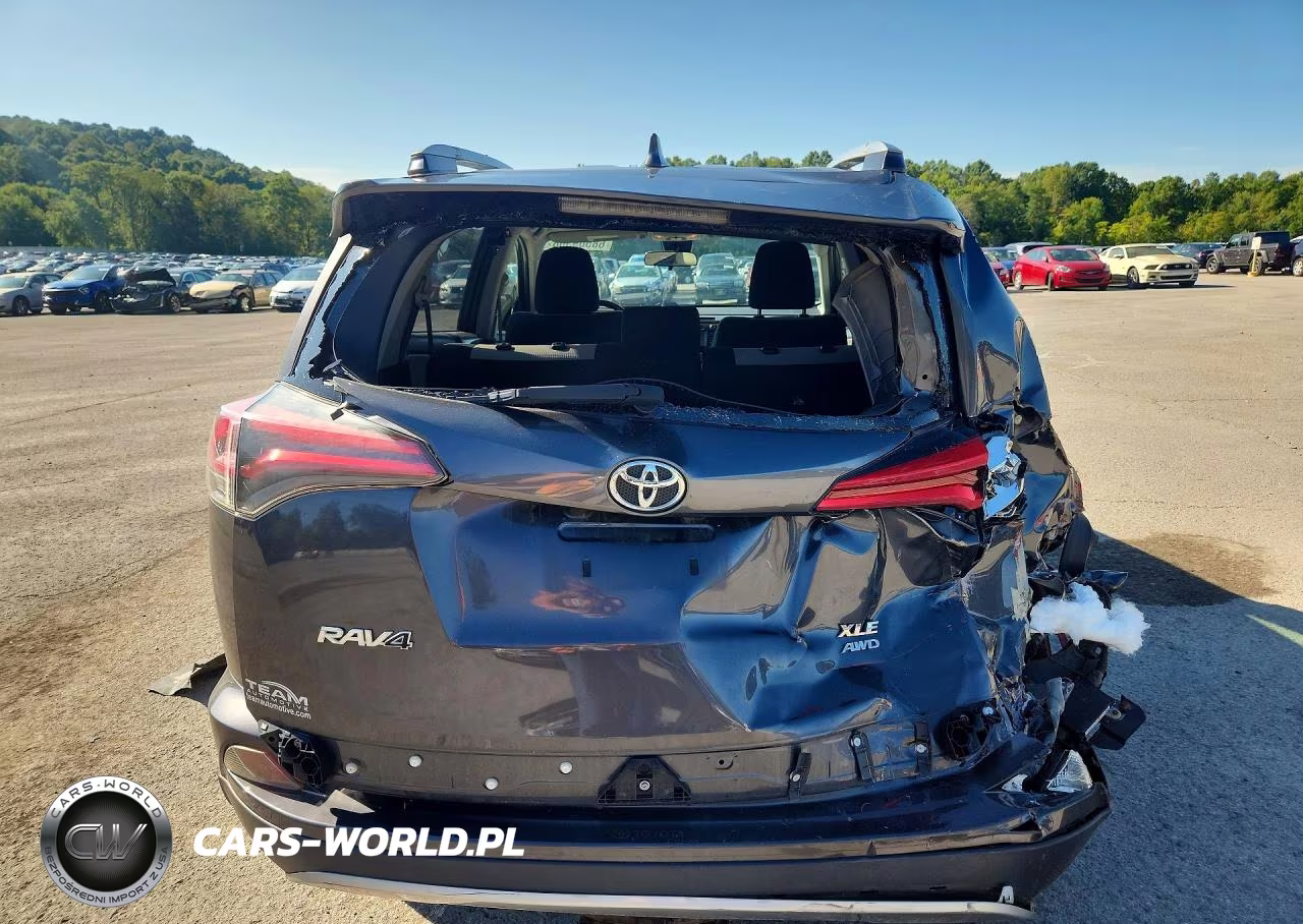 2018 Toyota Rav4 Xle VIN:JTMRFREV5JJ717472 - 6